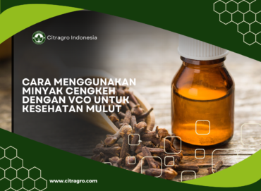1. Cara Menggunakan Minyak Cengkeh dengan VCO untuk Kesehatan Mulut