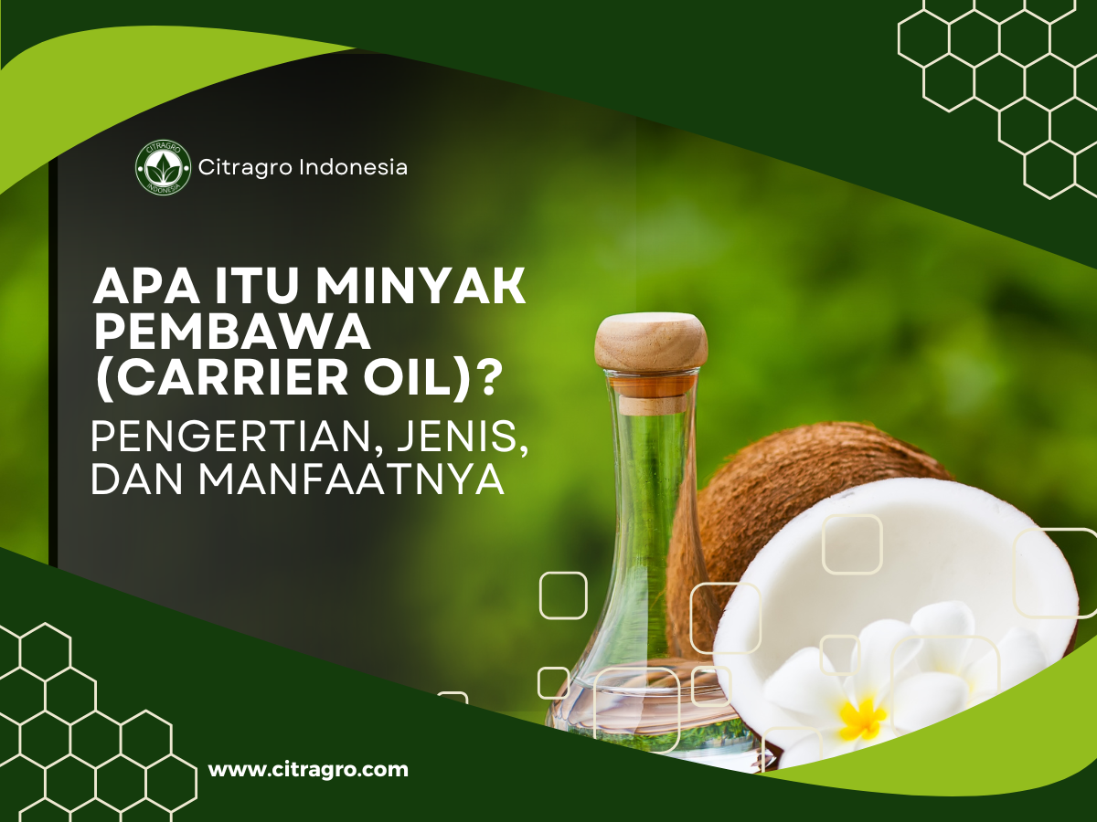 Apa Itu Minyak Pembawa (Carrier Oil)? Pengertian, Jenis, dan Manfaatnya