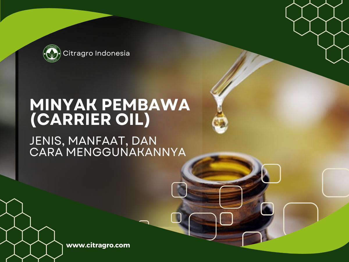 Minyak Pembawa (Carrier Oil) – Jenis, Manfaat, dan Cara Menggunakannya