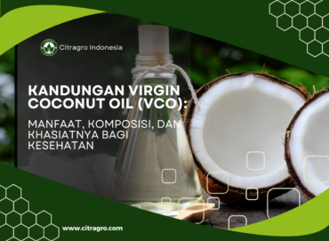 Kandungan Virgin Coconut Oil (VCO) - Manfaat, Komposisi, dan Khasiatnya bagi Kesehatan