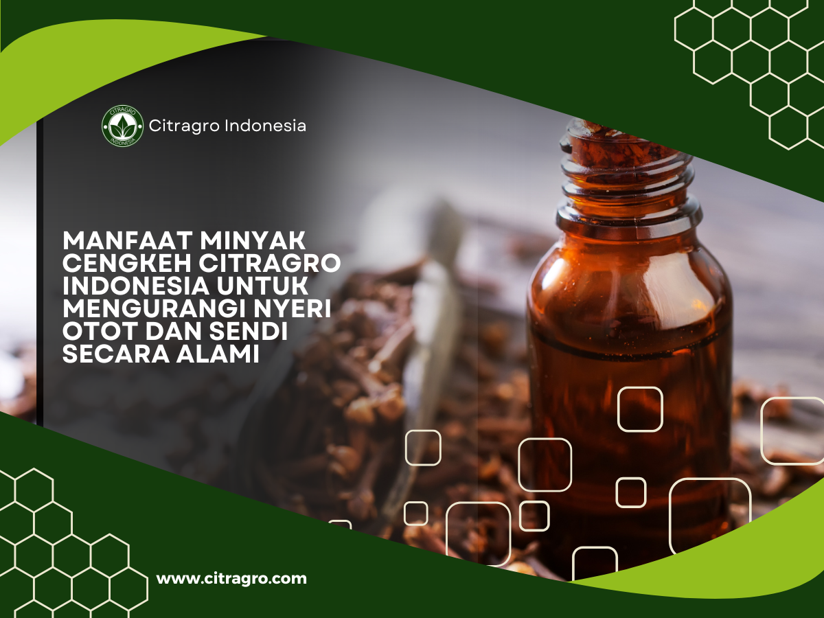 Manfaat Minyak Cengkeh Citragro Indonesia untuk Mengurangi Nyeri Otot dan Sendi Secara Alami