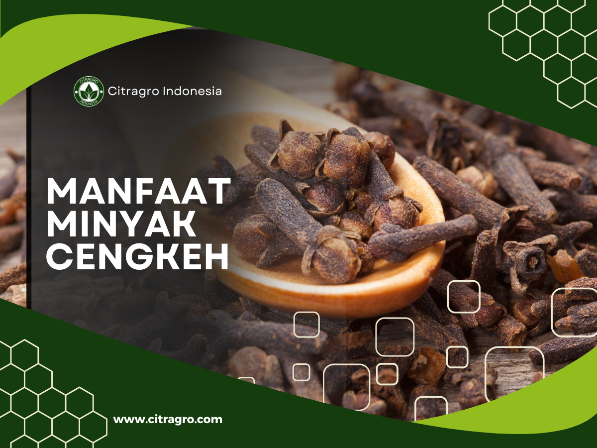 Manfaat Minyak Cengkeh