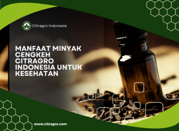 Manfaat minyak cengkeh citragro Indonesia untuk Kesehatan