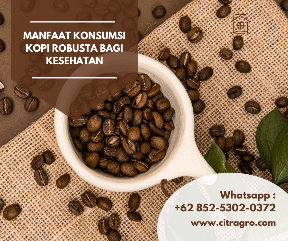 Manfaat Konsumsi Kopi Robusta bagi Kesehatan