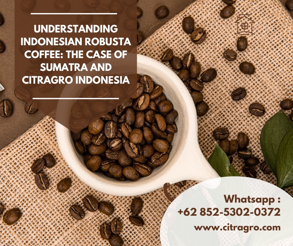 Understanding Indonesian Robusta Coffee: The Case of Sumatra and Citragro Indonesia