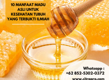 10 Manfaat Madu Asli untuk Kesehatan Tubuh yang Terbukti Ilmiah