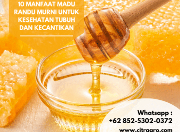 10 Manfaat Madu Randu Murni untuk Kesehatan Tubuh dan Kecantikan