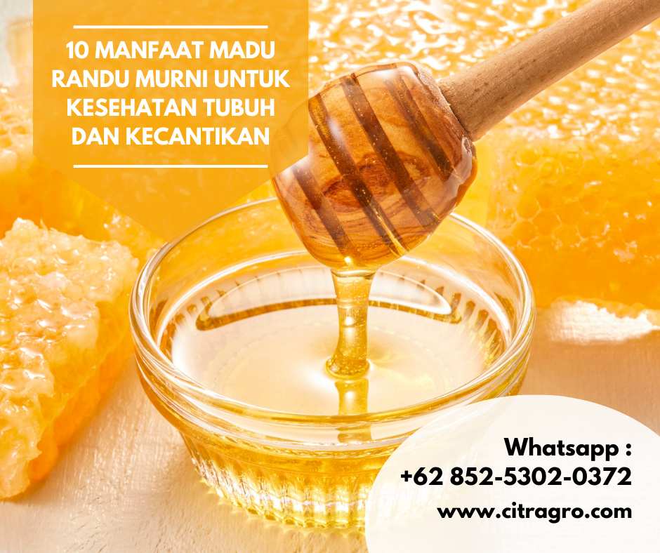 10 Manfaat Madu Randu Murni untuk Kesehatan Tubuh dan Kecantikan