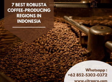 7 Best Robusta Coffee-Producing Regions in Indonesia