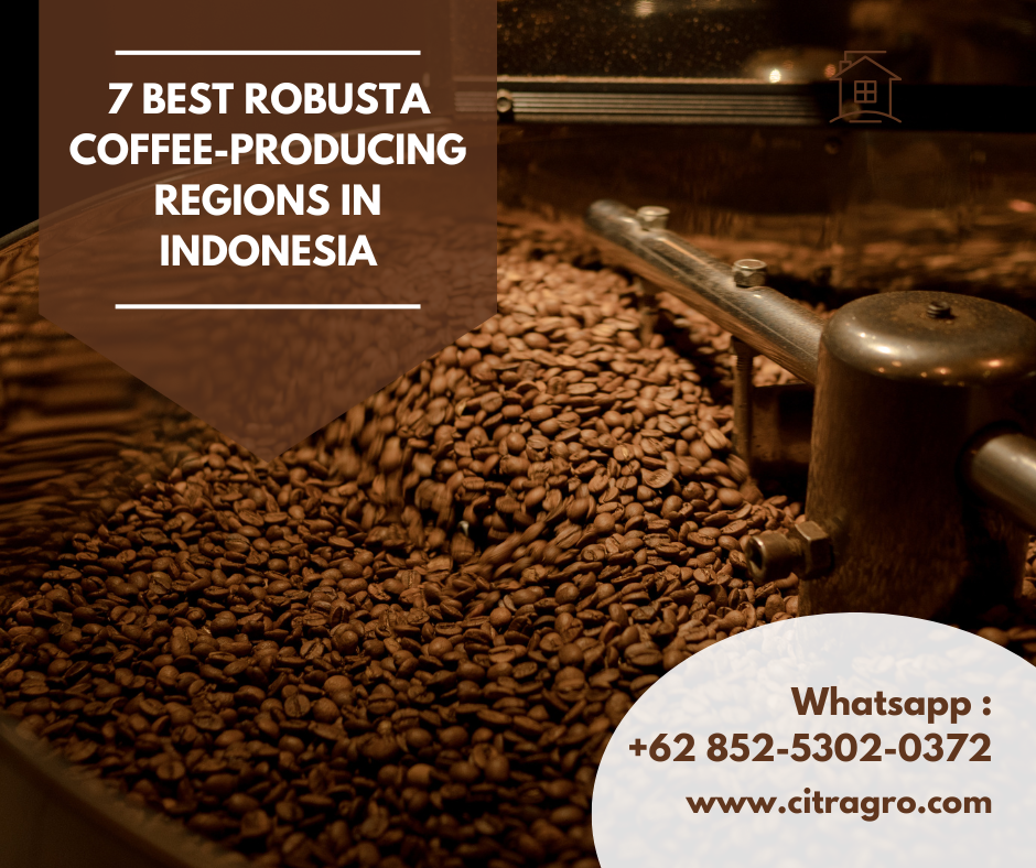 7 Best Robusta Coffee-Producing Regions in Indonesia