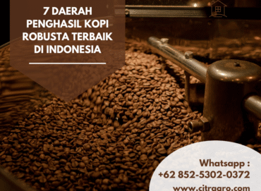 7 Daerah Penghasil Kopi Robusta Terbaik di Indonesia