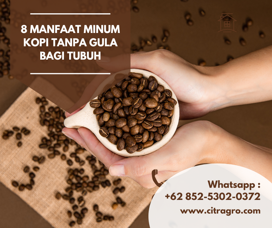 8 Manfaat Minum Kopi Tanpa Gula Bagi Tubuh