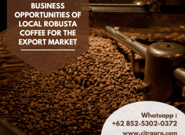 Business Opportunities of Local Robusta Coffee for the Export Market