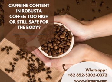 Caffeine Content in Robusta Coffee Too High or Still Safe for the Body
