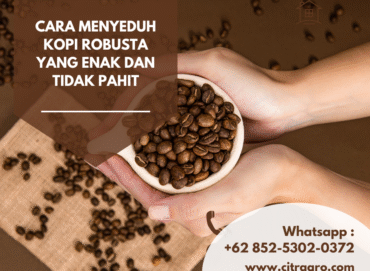 Cara Menyeduh Kopi Robusta yang Enak dan Tidak Pahit