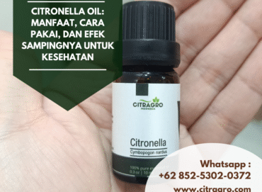 Citronella Oil Manfaat, Cara Pakai, dan Efek Sampingnya untuk Kesehatan
