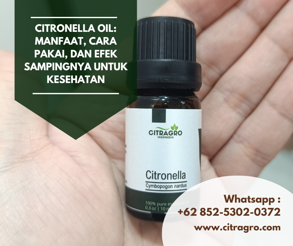 Citronella Oil: Manfaat, Cara Pakai, dan Efek Sampingnya untuk Kesehatan