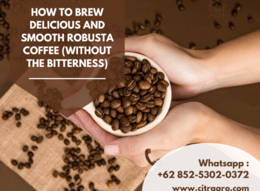 How to Brew Delicious and Smooth Robusta Coffee (Without the Bitterness)