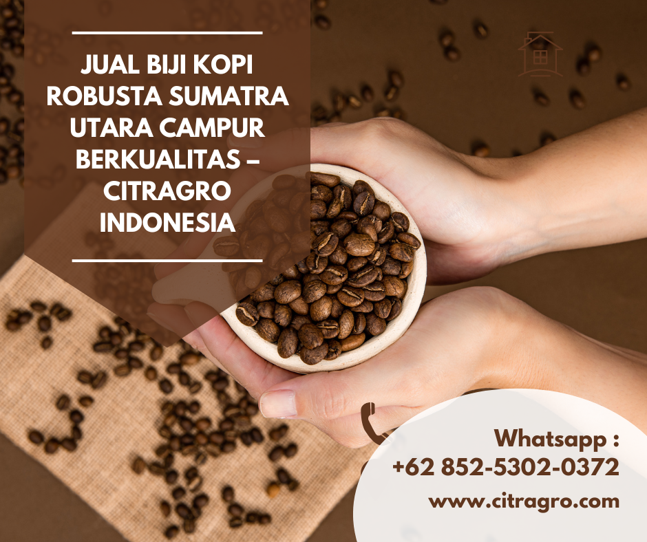 Jual Biji Kopi Robusta Sumatra Utara Campur Berkualitas – Citragro Indonesia