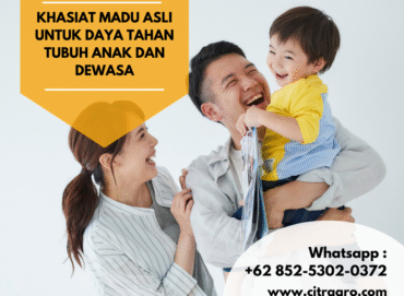 Khasiat Madu Asli untuk Daya Tahan Tubuh Anak dan Dewasa Citragro Indonesia