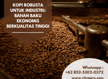 Kopi Robusta untuk Industri Bahan Baku Ekonomis Berkualitas Tinggi