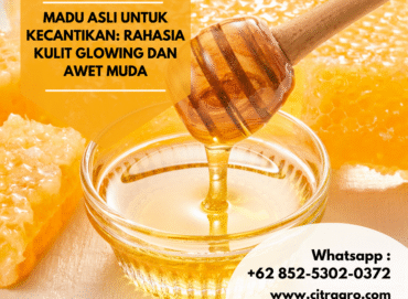 Madu Asli untuk Kecantikan Rahasia Kulit Glowing dan Awet Muda