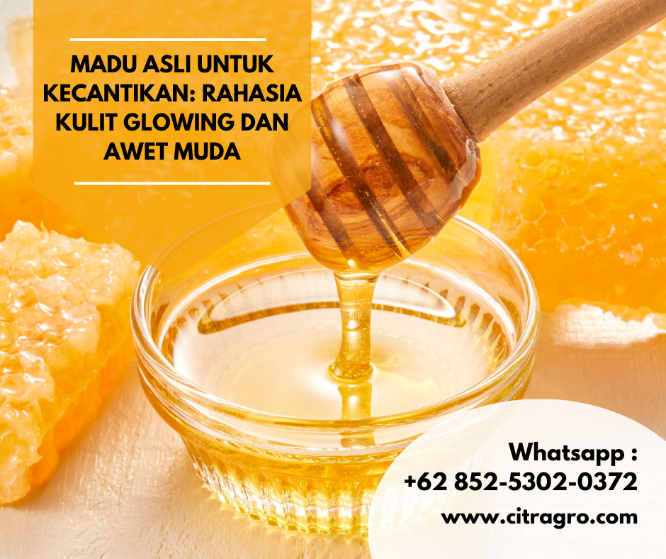 Madu Asli untuk Kecantikan: Rahasia Kulit Glowing dan Awet Muda