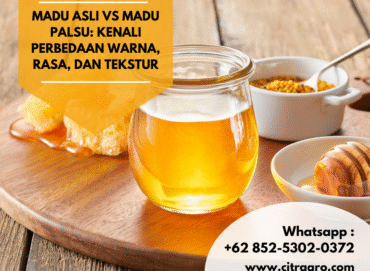 Madu Asli vs Madu Palsu Kenali Perbedaan Warna, Rasa, dan Tekstur