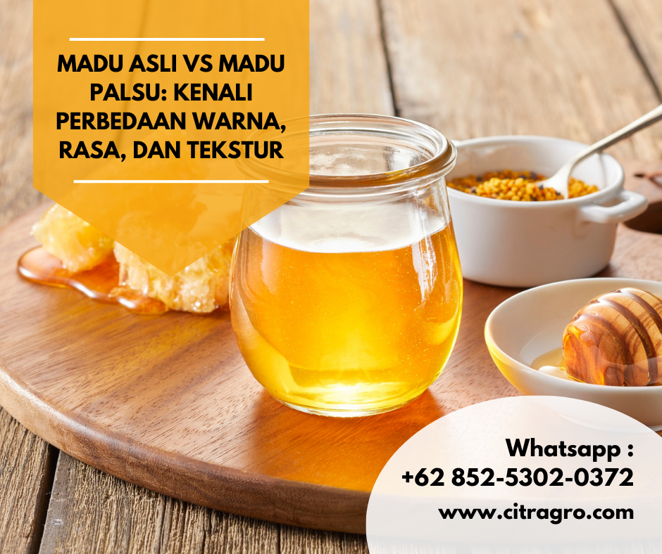 Madu Asli vs Madu Palsu: Kenali Perbedaan Warna, Rasa, dan Tekstur