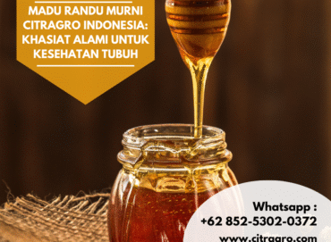 Madu Randu Murni Citragro Indonesia Khasiat Alami untuk Kesehatan Tubuh