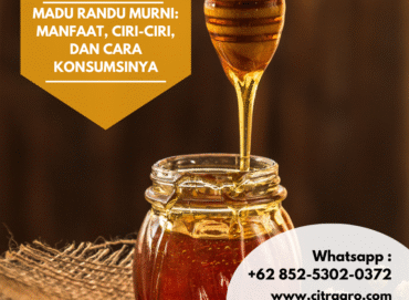 Madu Randu Murni Manfaat, Ciri-Ciri, dan Cara Konsumsinya