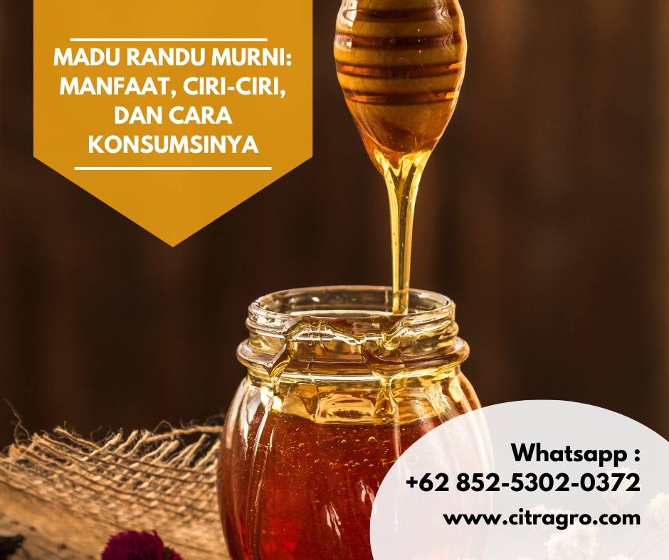 Madu Randu Murni: Manfaat, Ciri-Ciri, dan Cara Konsumsinya