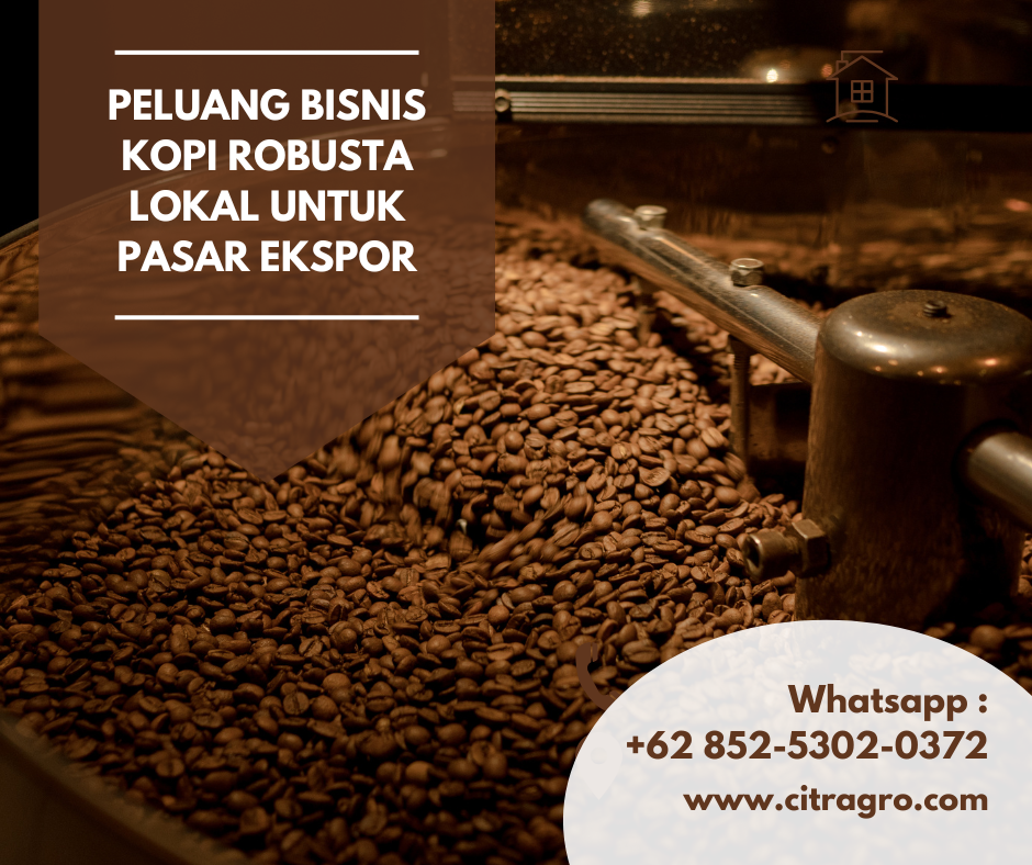 Peluang Bisnis Kopi Robusta Lokal untuk Pasar Ekspor