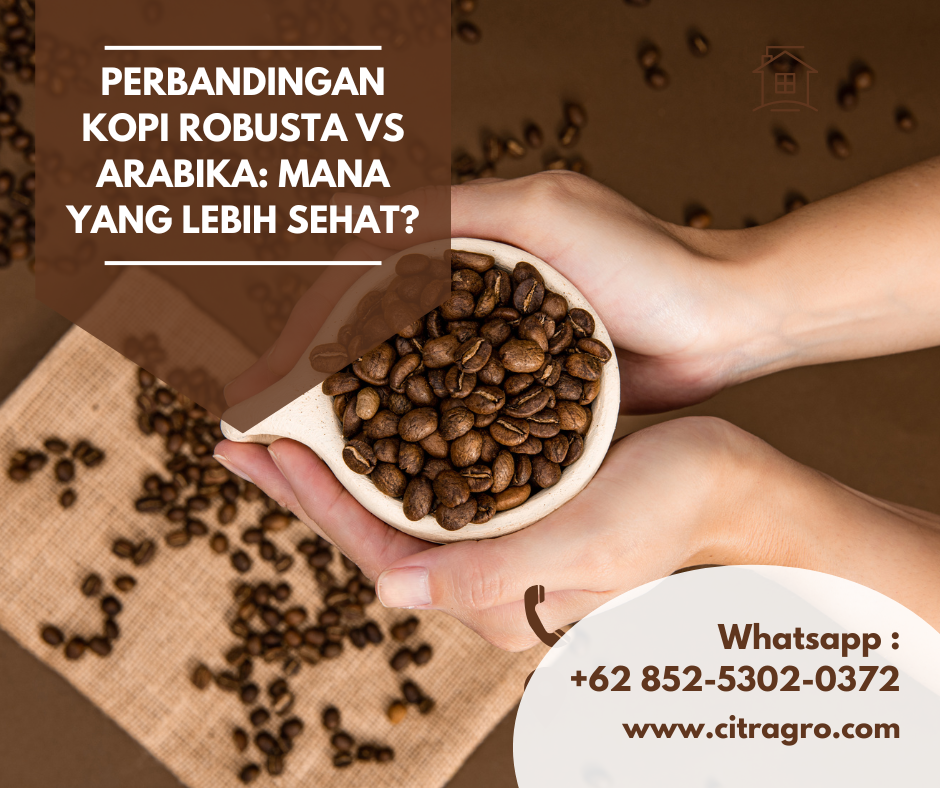 Perbandingan Kopi Robusta vs Arabika: Mana yang Lebih Sehat?