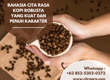 Rahasia Cita Rasa Kopi Robusta yang Kuat dan Penuh Karakter