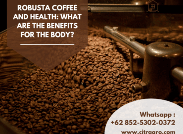 Robusta Coffee and Health What Are the Benefits for the Body