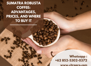 Sumatra Robusta Coffee Advantages, Prices, and Where to Buy It