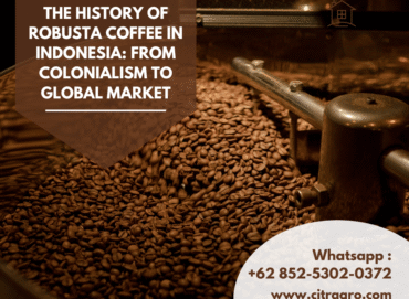 The History of Robusta Coffee in Indonesia From Colonialism to Global Market