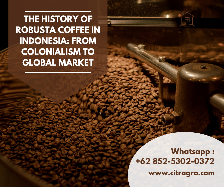 The History of Robusta Coffee in Indonesia: From Colonialism to Global Market