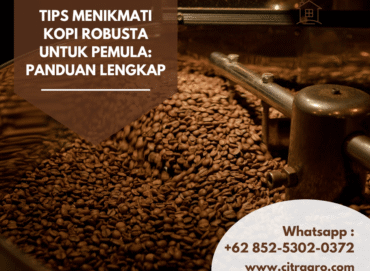 Tips Menikmati Kopi Robusta untuk Pemula Panduan Lengkap