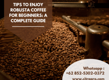 Tips to Enjoy Robusta Coffee for Beginners A Complete Guide