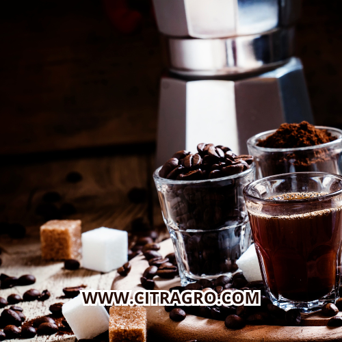 ORIGINAL SUMATERA ROBUSTA COFFEE FROM CITRAGRO INDONESIA