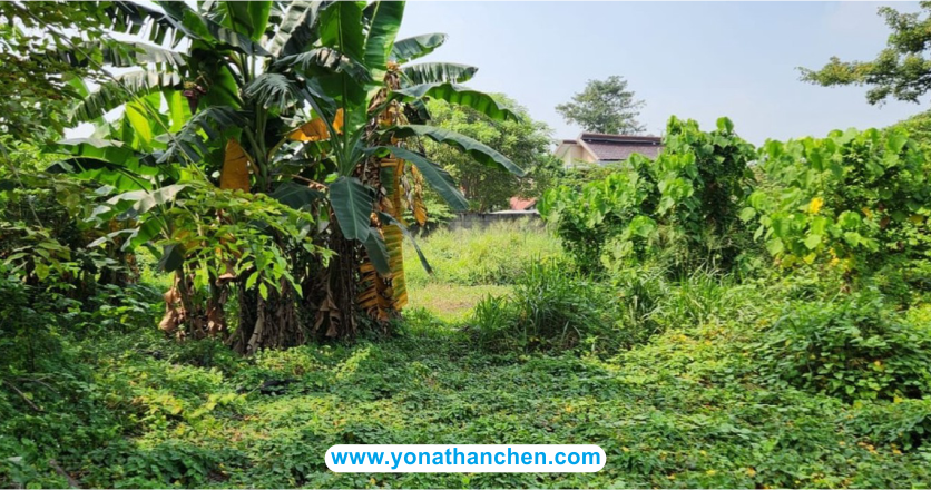 Yonathan Chen sells 1.4 hectares of land in Gempol, East Java, Indonesia