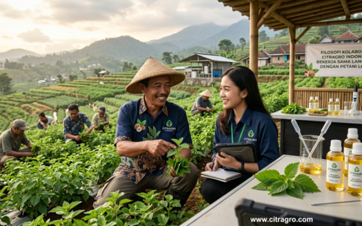 Filosofi Kolaborasi Citragro Indonesia - Mengapa Memilih Petani Lokal
