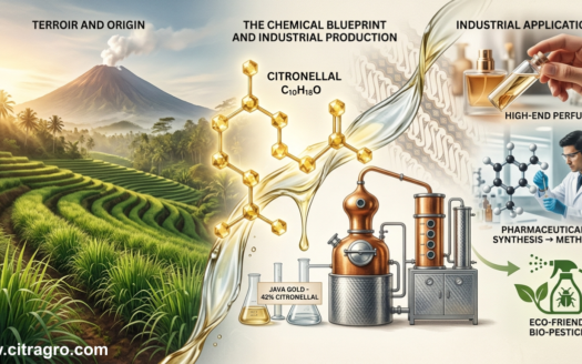 The Citronellal Secret - Why Indonesia’s Java Citronella Outshines Global Competitors - Citragro Indonesia