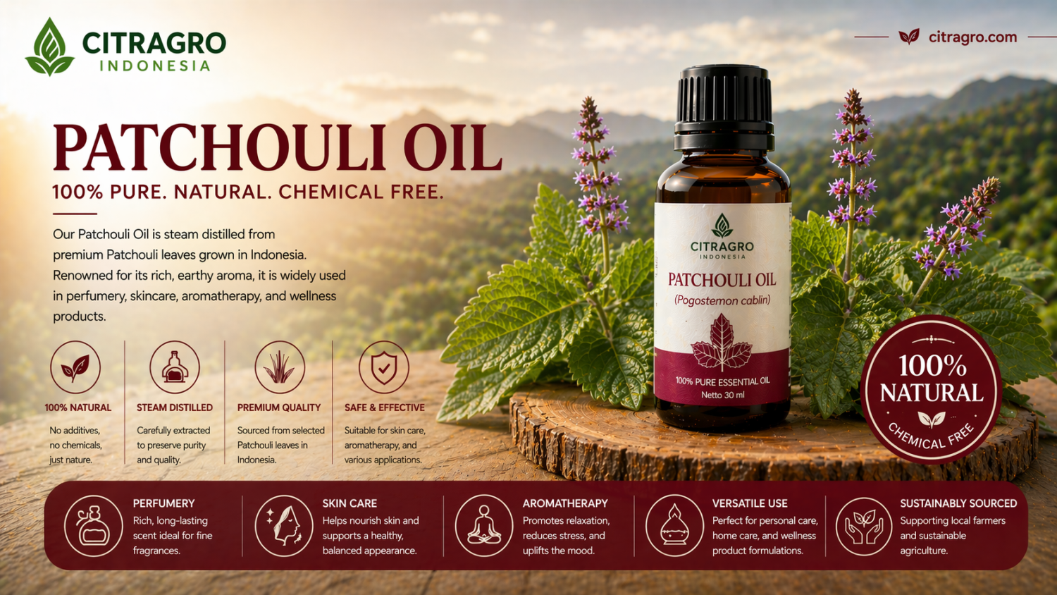 Citragro Premium Patchouli Oil - Main Cover