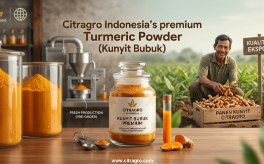 Kunyit Bubuk - Manfaat, Cara Memilih, dan Supplier Terbaik di Indonesia - Kunyit Bubuk Citragro Indonesia