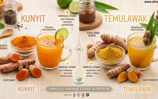 Perbedaan Kunyit vs Temulawak - Panduan Lengkap Formulasi Minuman Kesehatan Premium - Citragro Indonesia