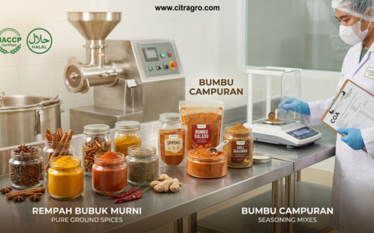 Rempah Bubuk Murni vs Bumbu Campuran - Panduan Strategis Pengadaan untuk Efisiensi Manufaktur dan Kualitas Produk - Citragro Indonesia