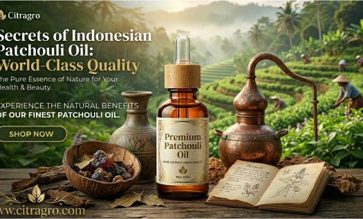 Secrets of Indonesian Patchouli Oil - World-Class Quality - citragro Indonesia